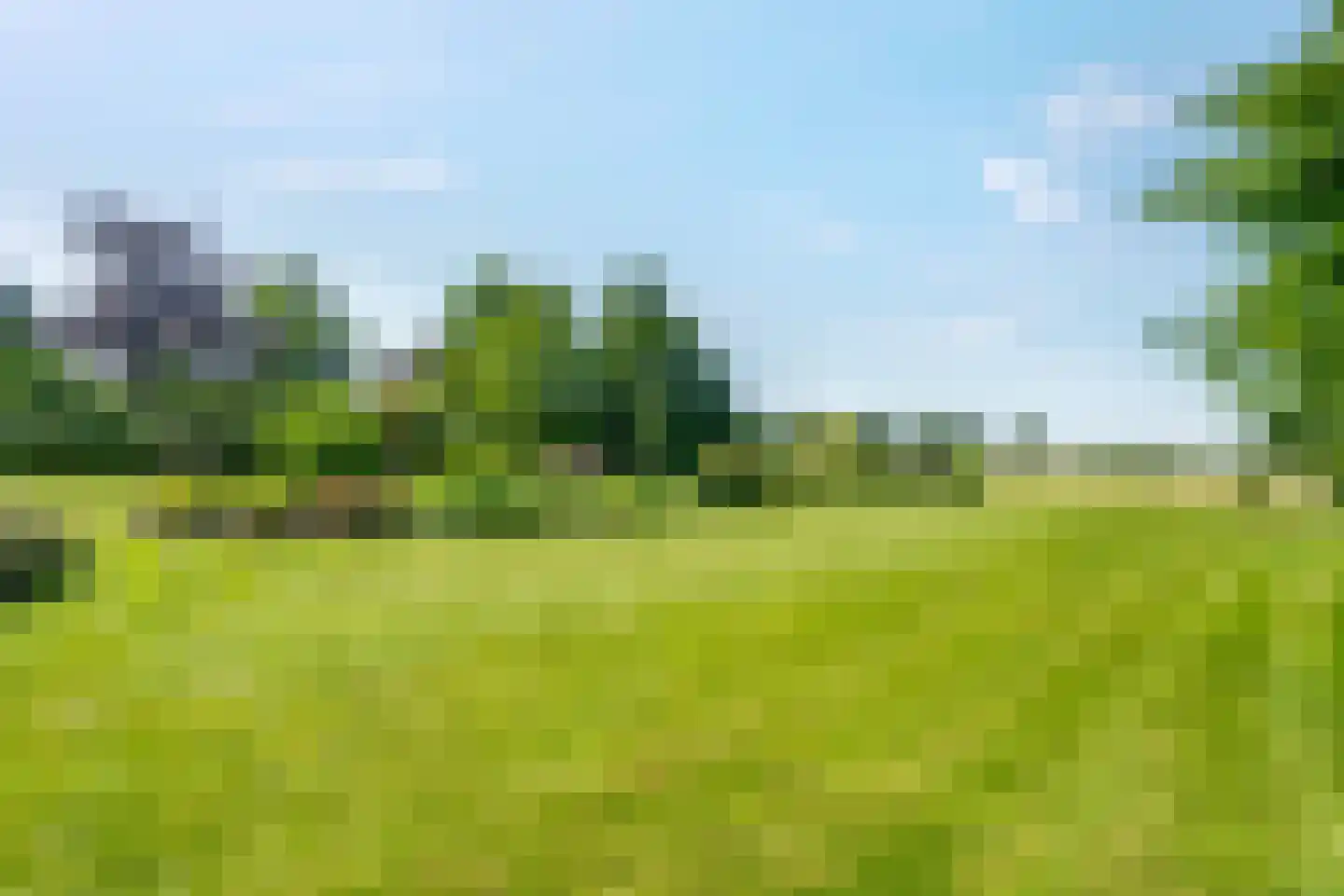 Veneweg 196 Wanneperveen thumbnail 60