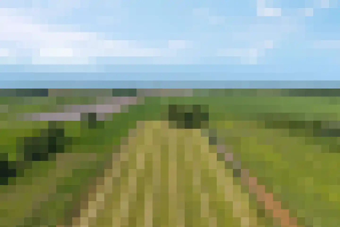 Veneweg 196 Wanneperveen thumbnail 61
