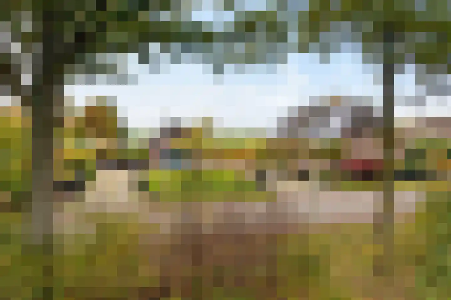 Veneweg 196 Wanneperveen thumbnail 63