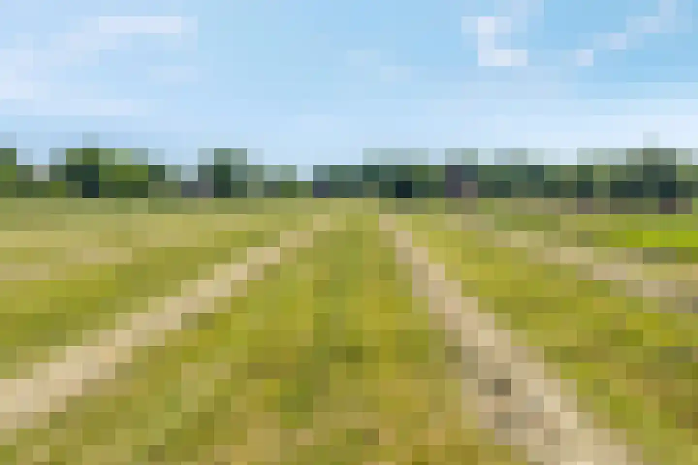 Veneweg 196 Wanneperveen thumbnail 64