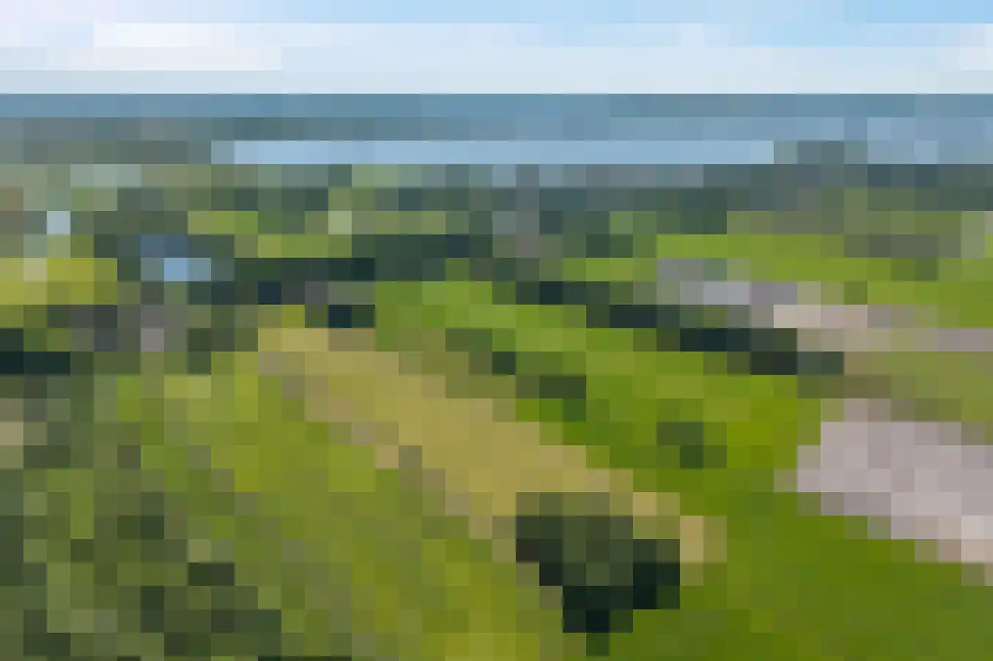 Veneweg 196 Wanneperveen thumbnail 66