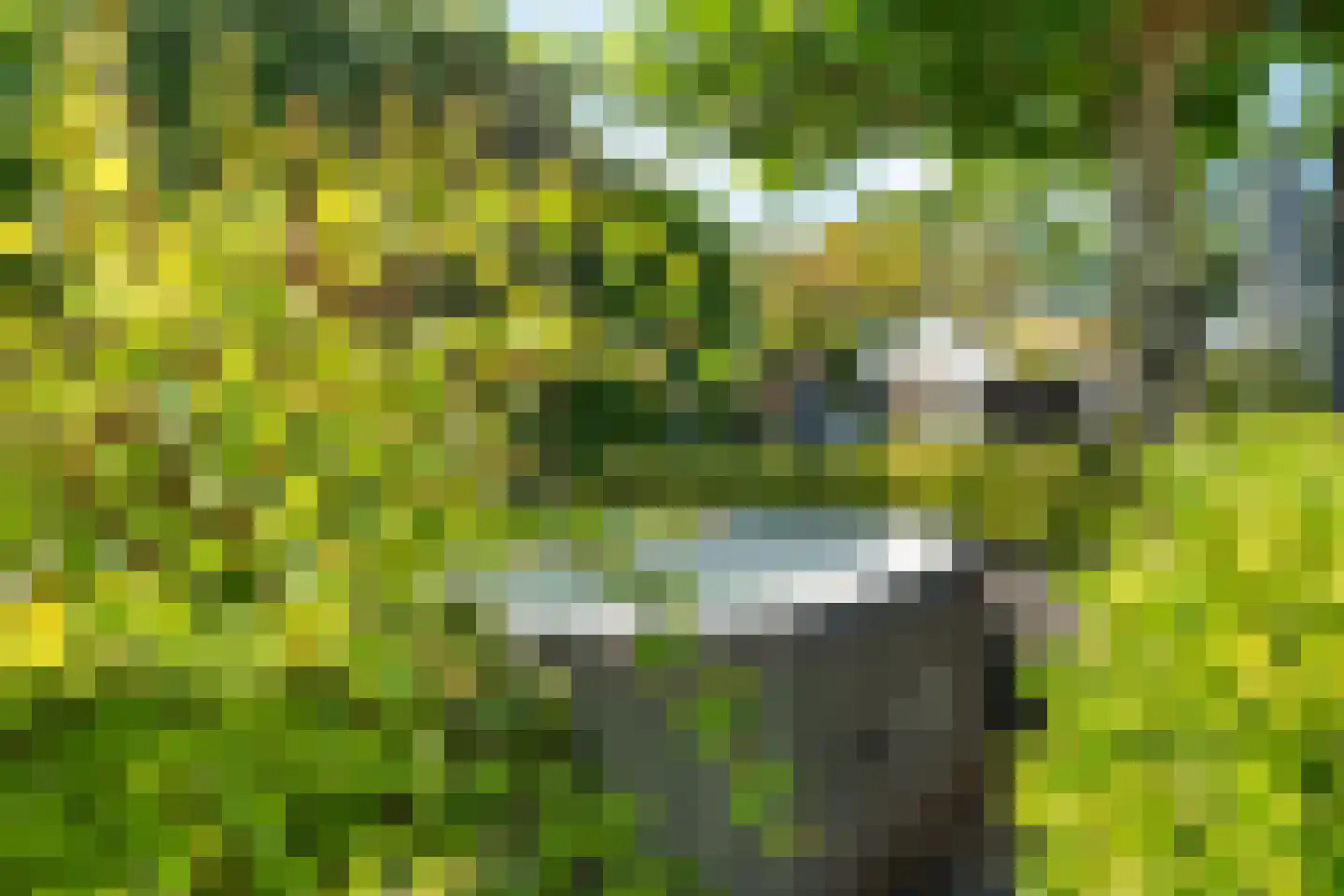Veneweg 223 05 Wanneperveen thumbnail 12