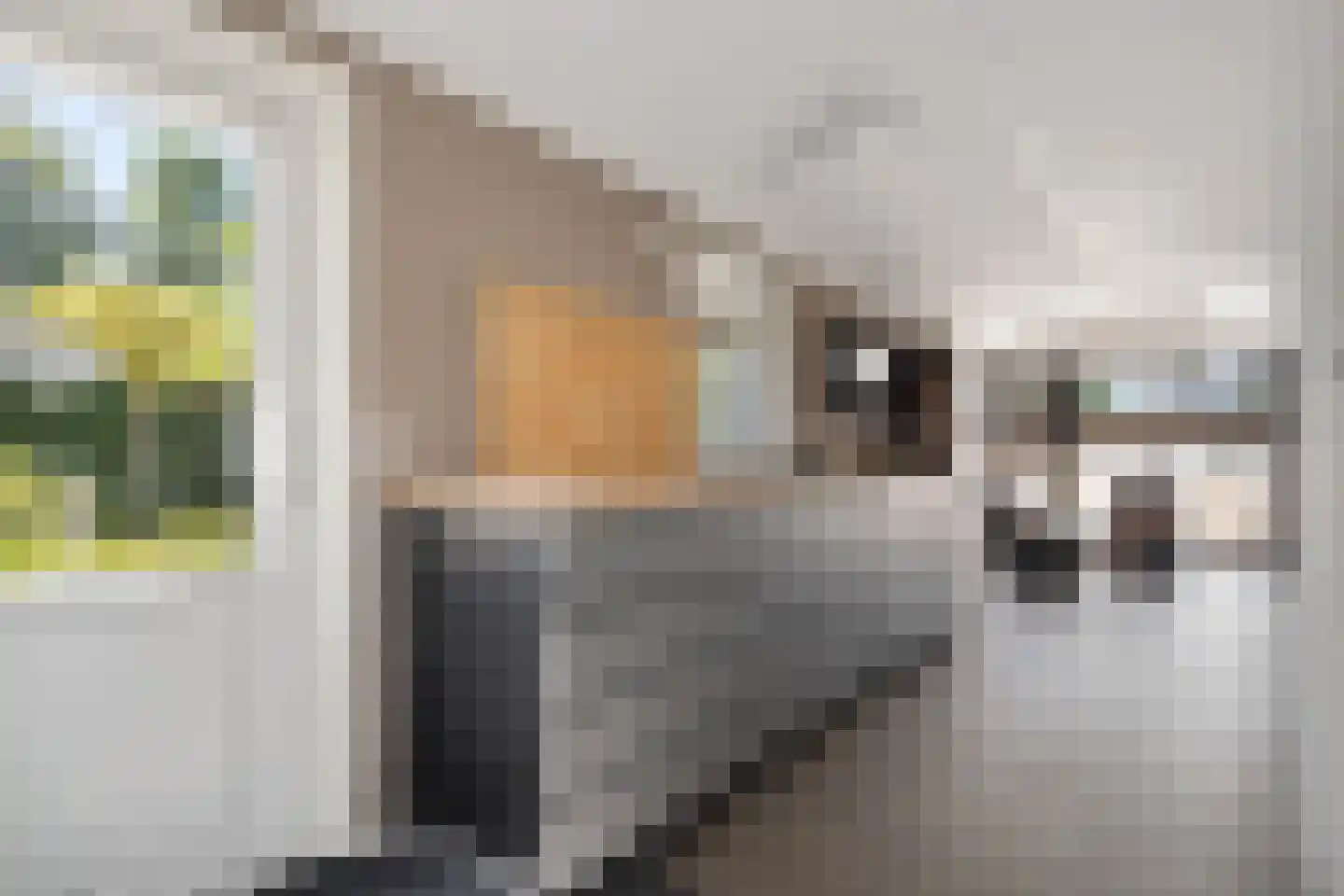 Veneweg 223 05 Wanneperveen thumbnail 13