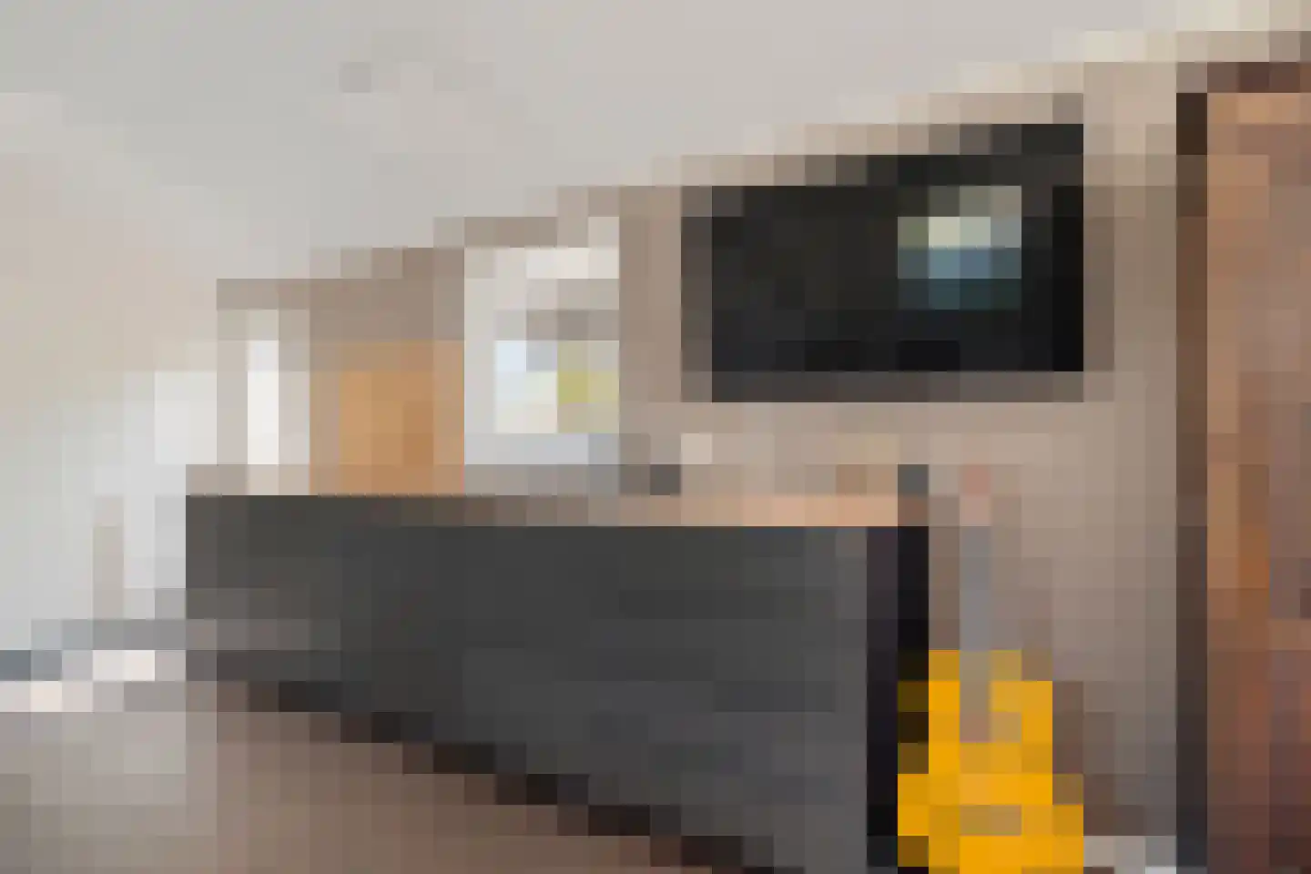 Veneweg 223 05 Wanneperveen thumbnail 19
