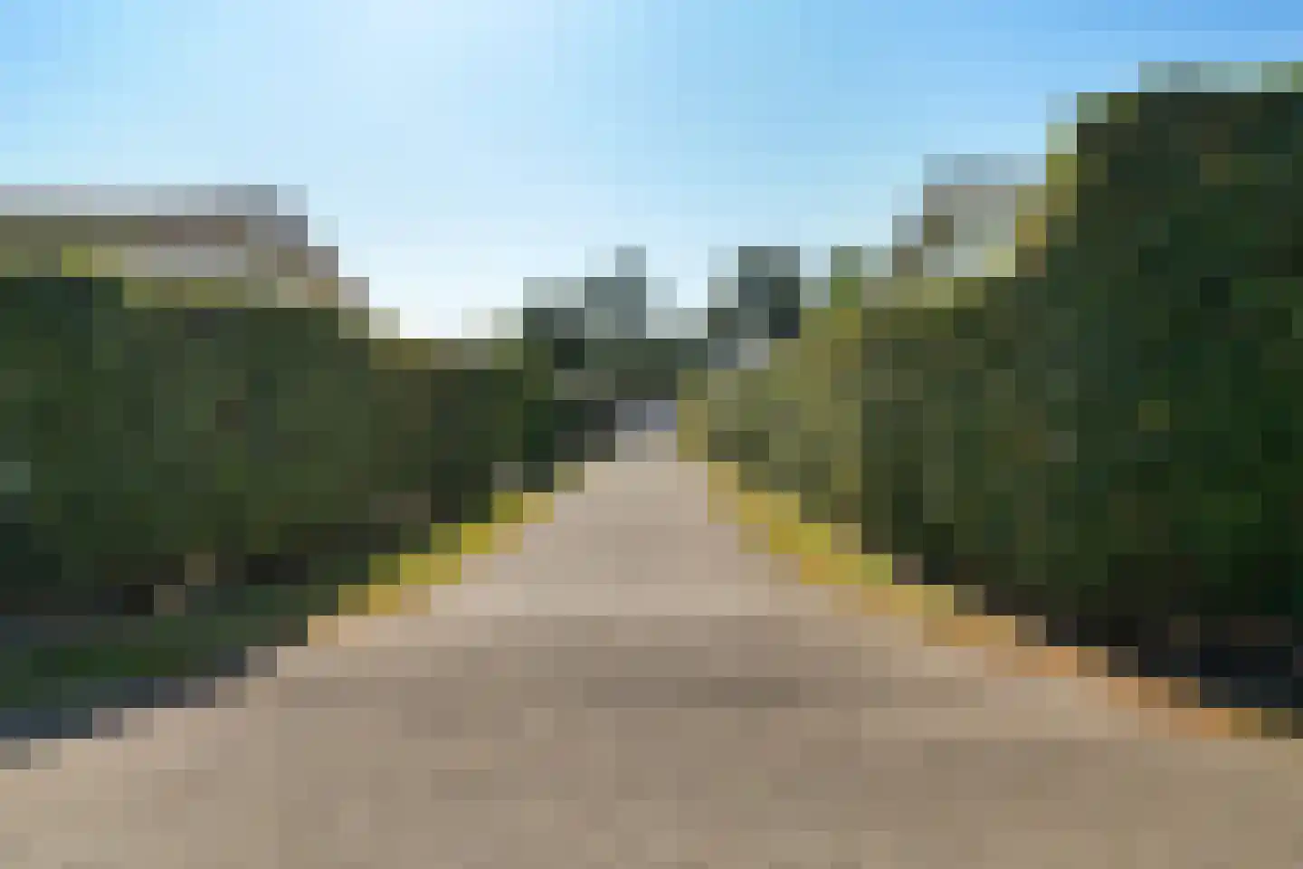 Veneweg 223 05 Wanneperveen thumbnail 36