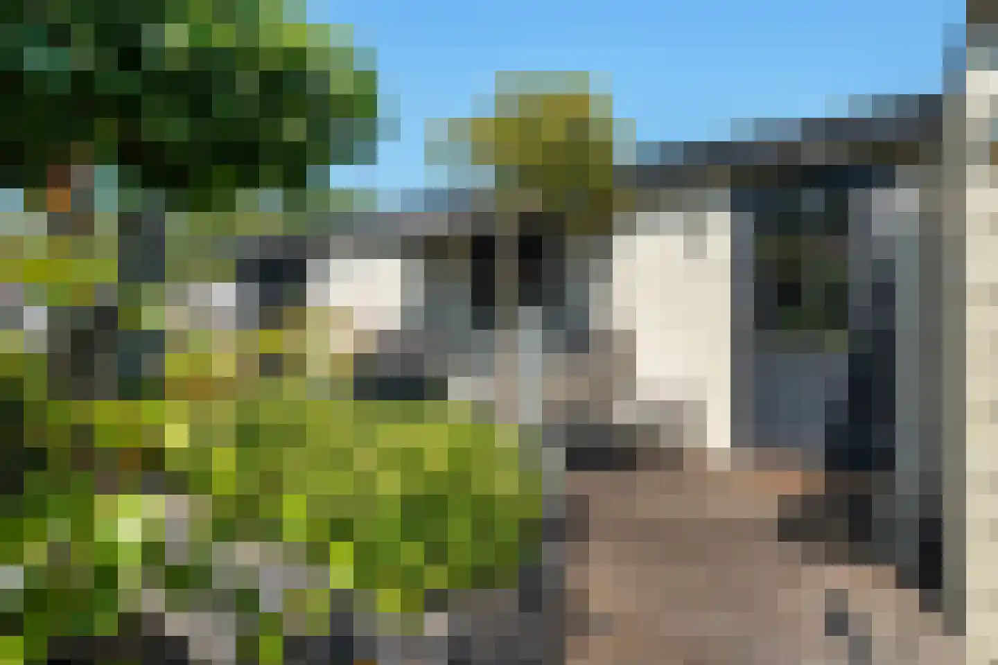 Veneweg 223 05 Wanneperveen thumbnail 8