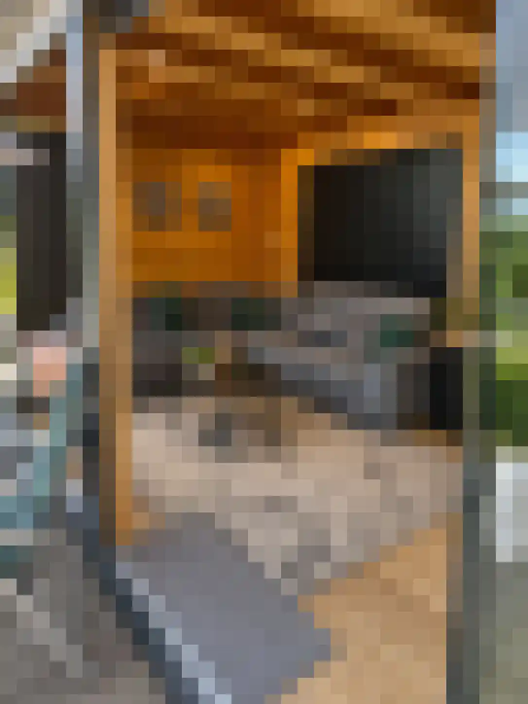 Veneweg 223 B Wanneperveen thumbnail 4