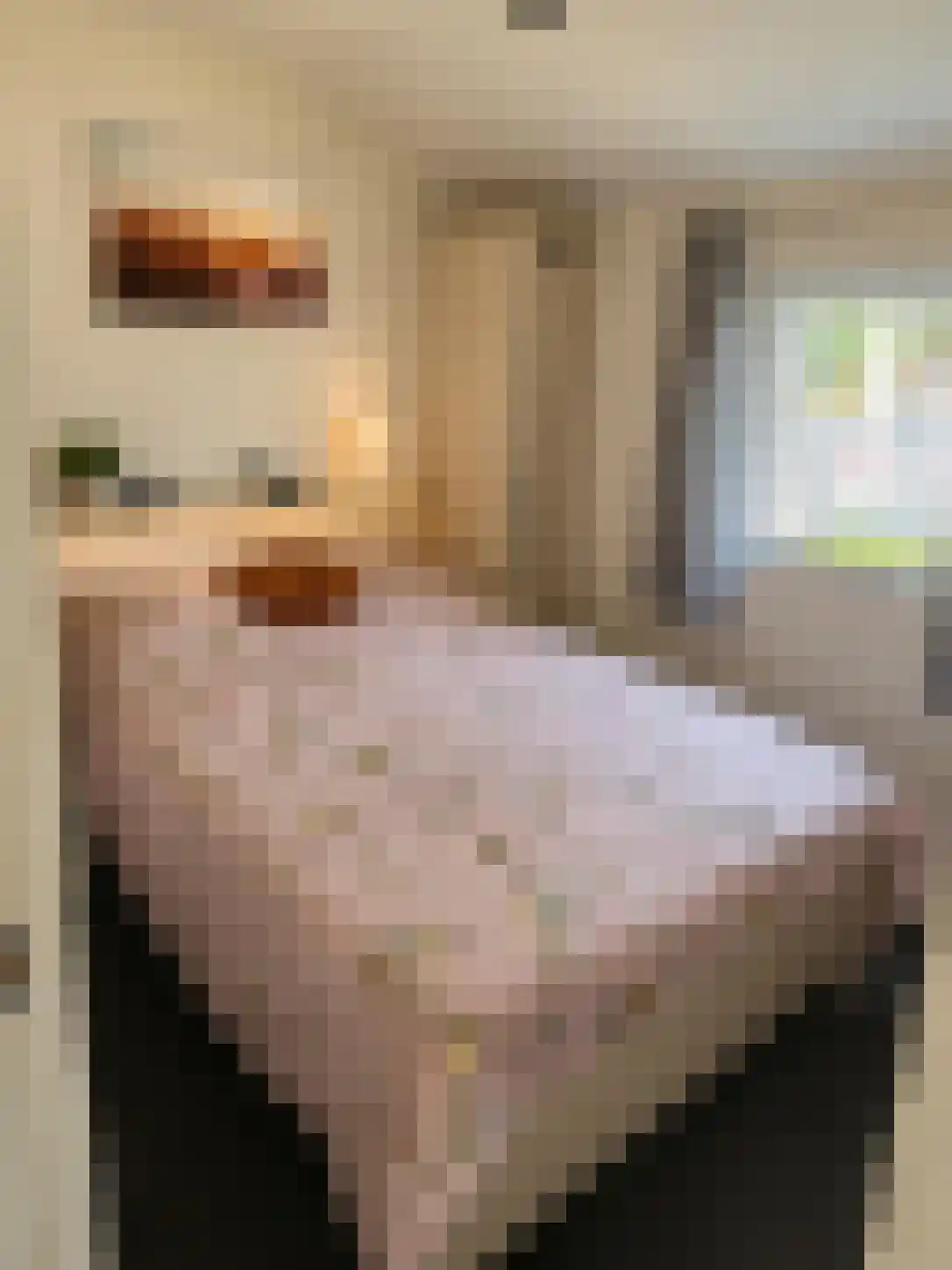 Veneweg 223 B Wanneperveen thumbnail 8