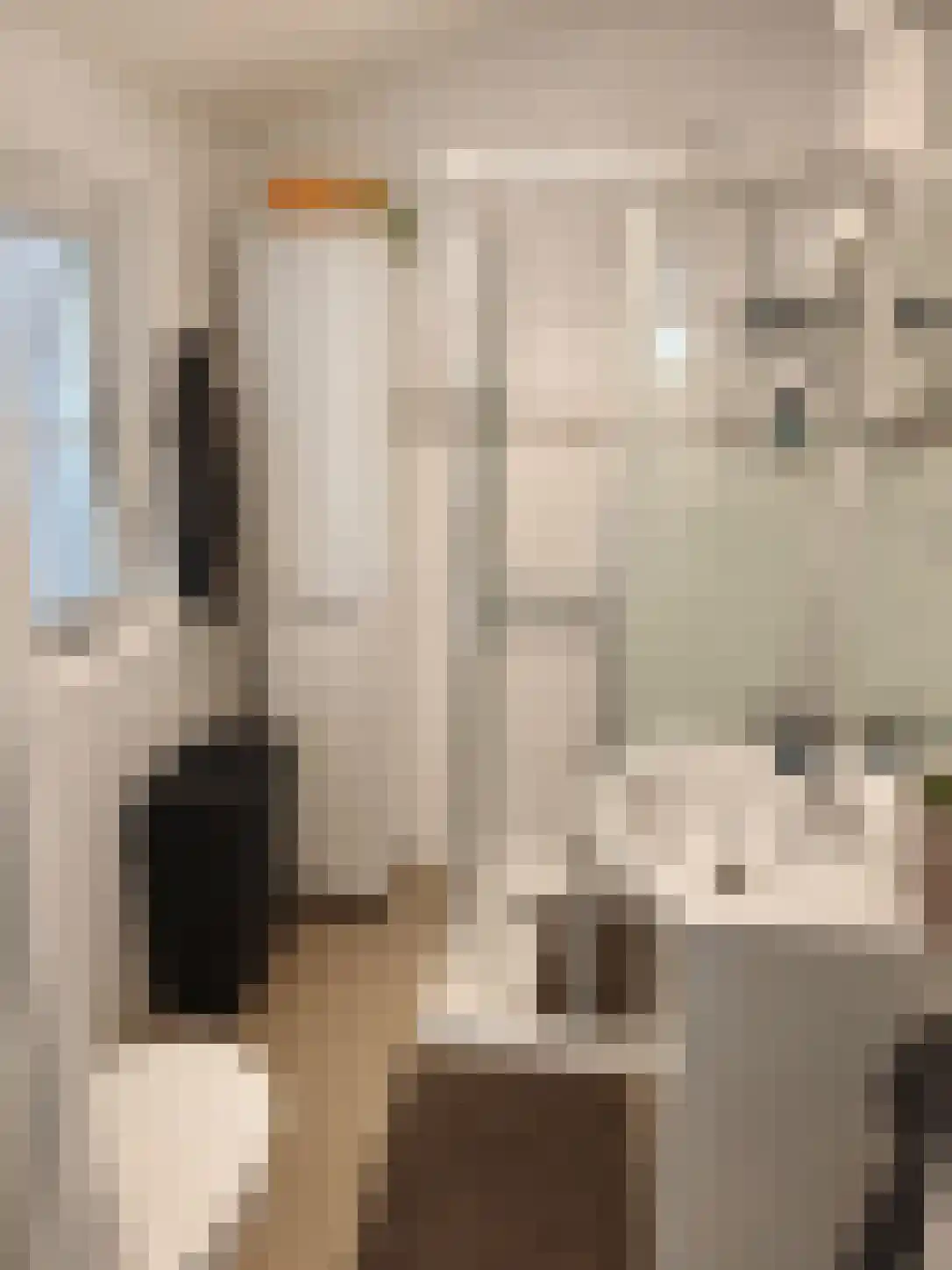 Veneweg 223 B Wanneperveen thumbnail 9