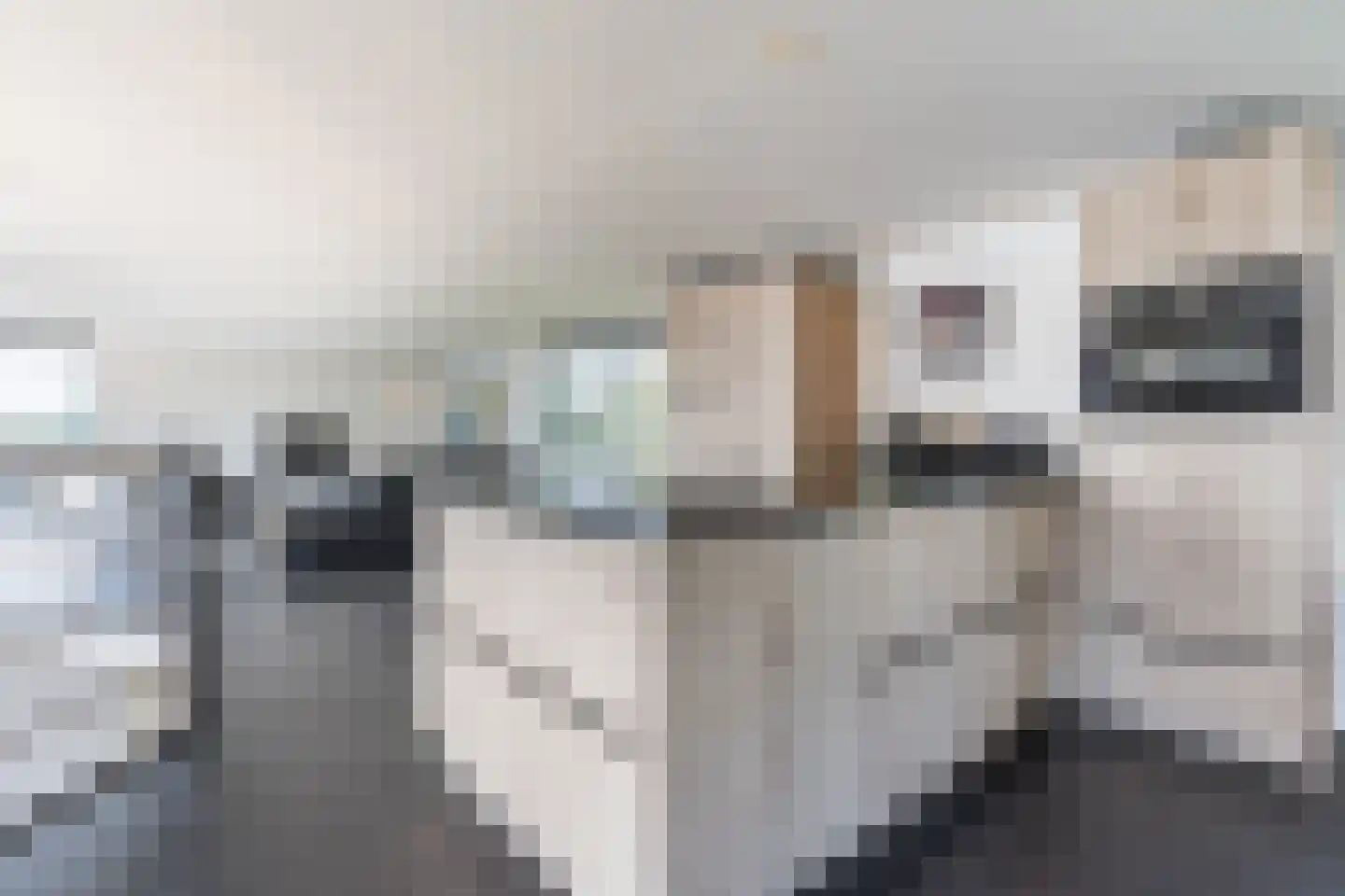 Veneweg 251 p Wanneperveen thumbnail 15