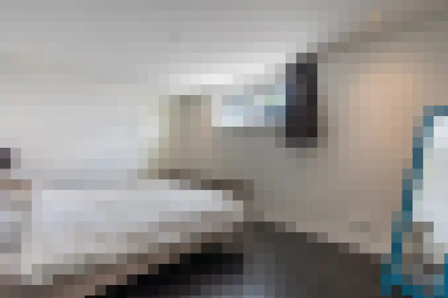 Veneweg 251 p Wanneperveen thumbnail 29