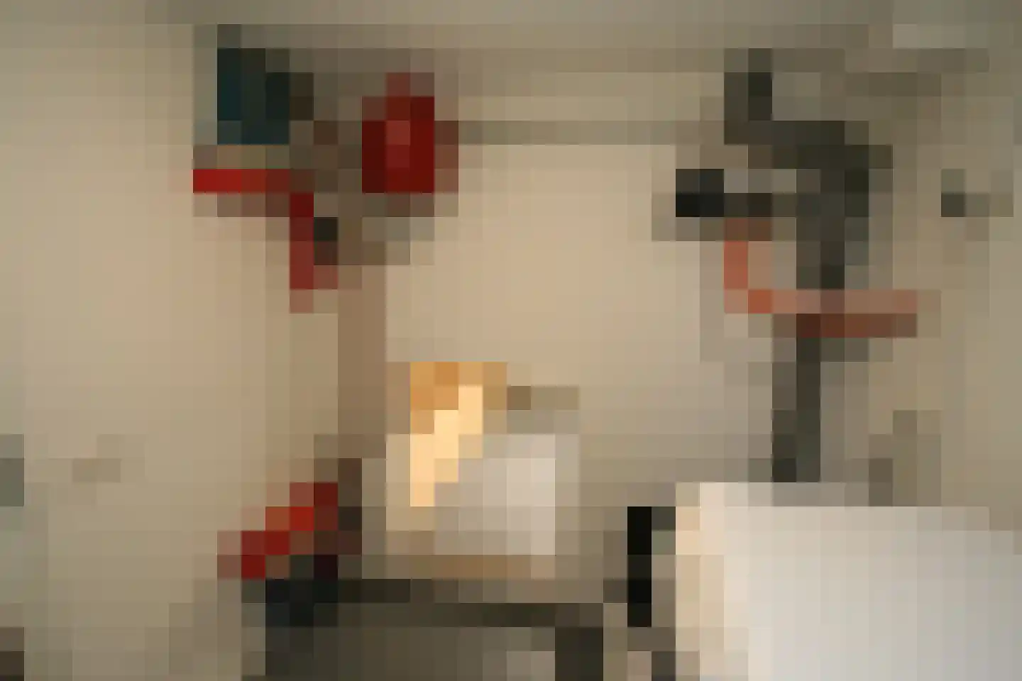Veneweg 251 p Wanneperveen thumbnail 34