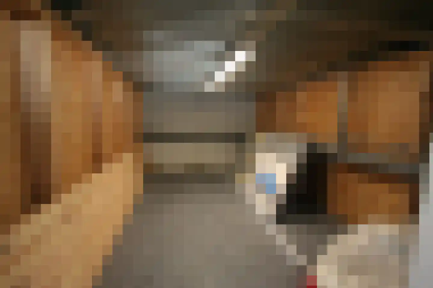 Veneweg 251 p Wanneperveen thumbnail 35