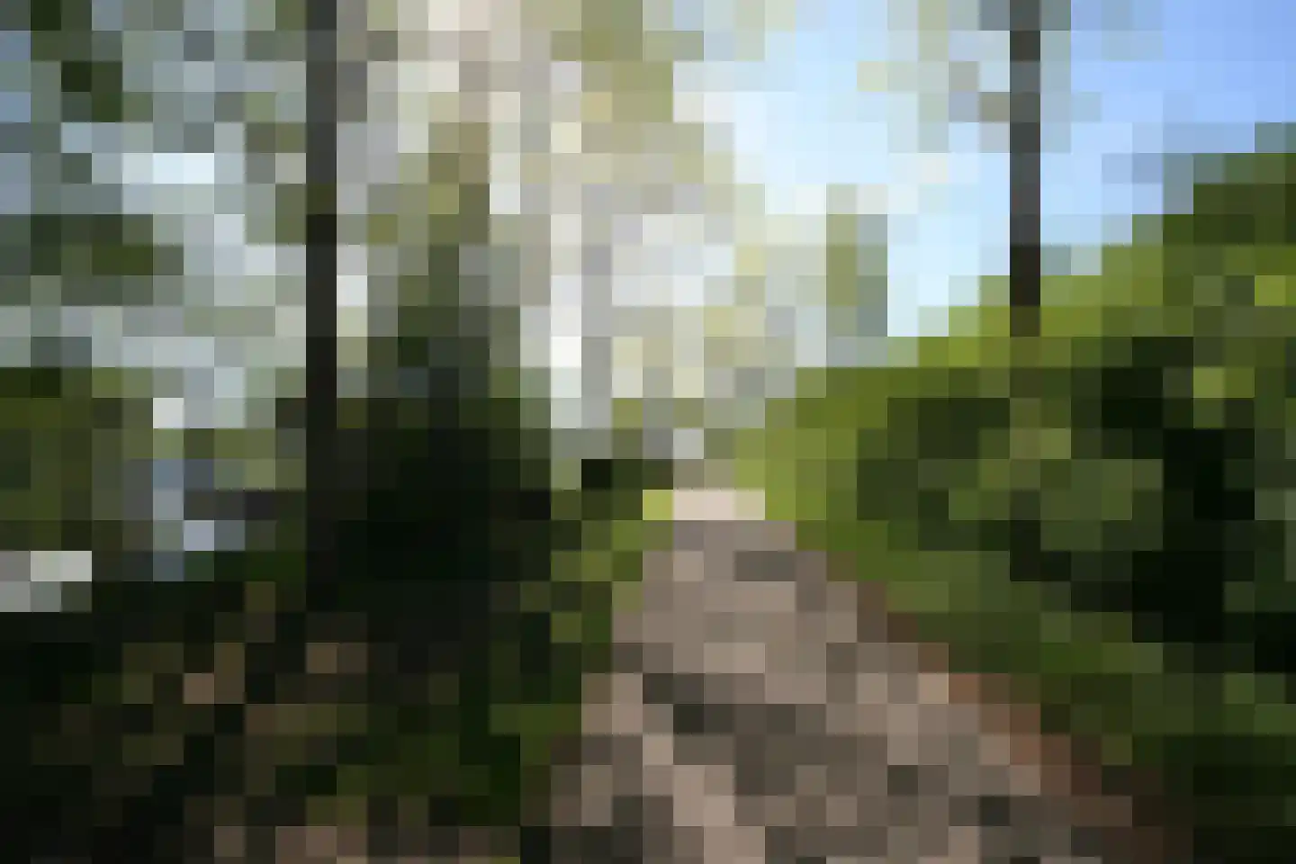 Veneweg 251 p Wanneperveen thumbnail 49