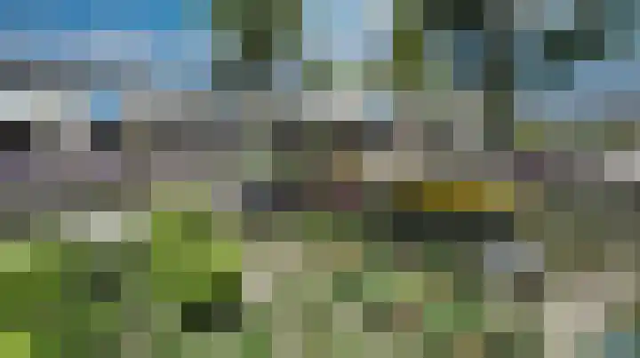 Veneweg 292 059 Wanneperveen thumbnail 11