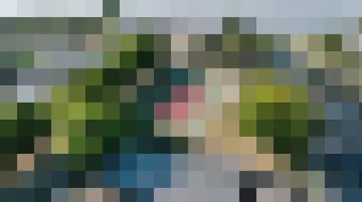 Veneweg 292 059 Wanneperveen thumbnail 6