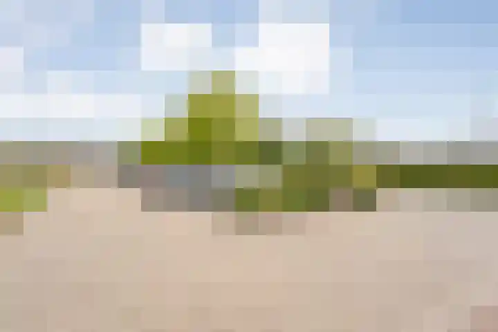 Veneweg 292 060 Wanneperveen thumbnail 10