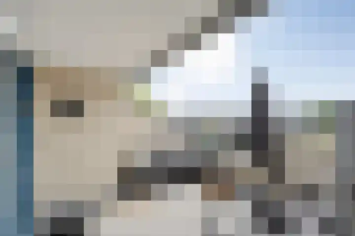 Veneweg 292 060 Wanneperveen thumbnail 13
