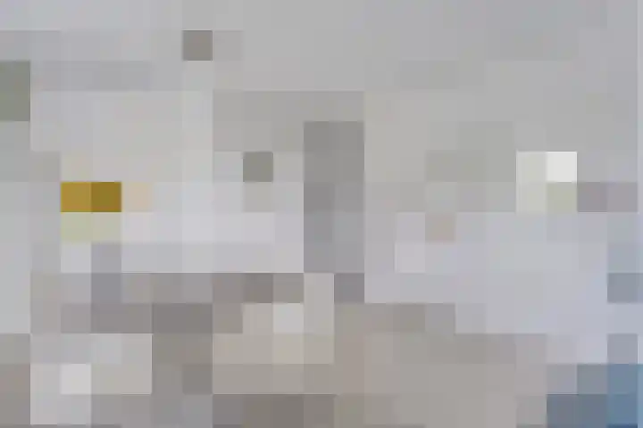 Veneweg 292 060 Wanneperveen thumbnail 18