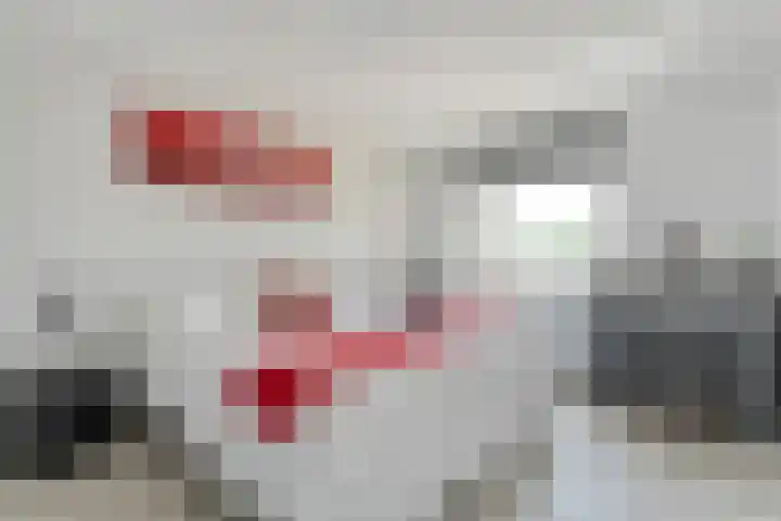 Veneweg 292 060 Wanneperveen thumbnail 24