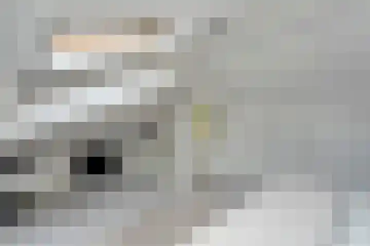 Veneweg 292 060 Wanneperveen thumbnail 30