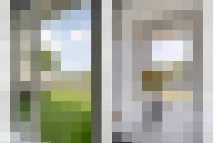 Veneweg 292 060 Wanneperveen thumbnail 31
