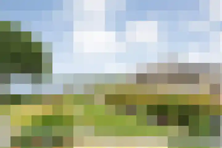 Veneweg 292 060 Wanneperveen thumbnail 32