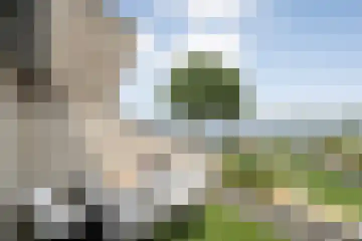 Veneweg 292 060 Wanneperveen thumbnail 33