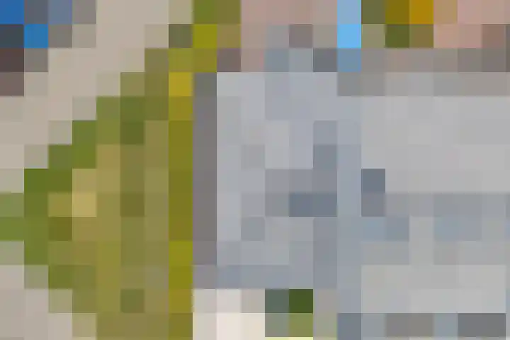 Veneweg 292 060 Wanneperveen thumbnail 36