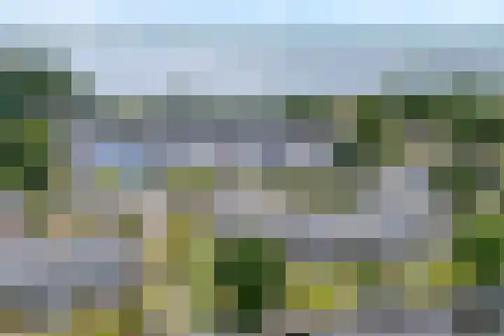 Veneweg 292 060 Wanneperveen thumbnail 37