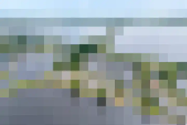 Veneweg 292 060 Wanneperveen thumbnail 38