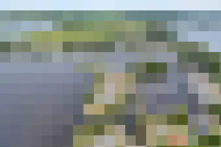 Veneweg 292 060 Wanneperveen thumbnail 39