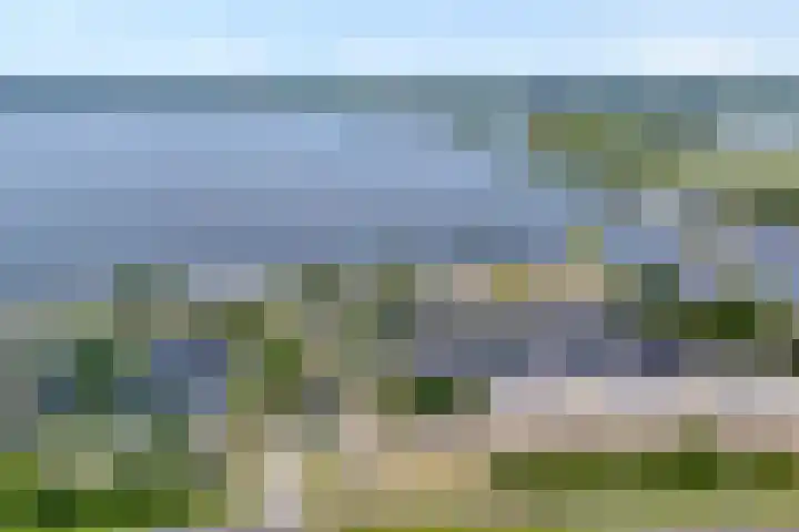Veneweg 292 060 Wanneperveen thumbnail 40