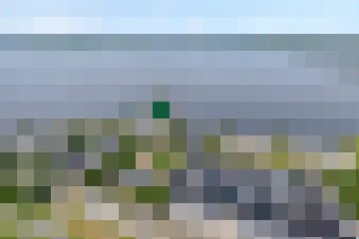 Veneweg 292 060 Wanneperveen thumbnail 5