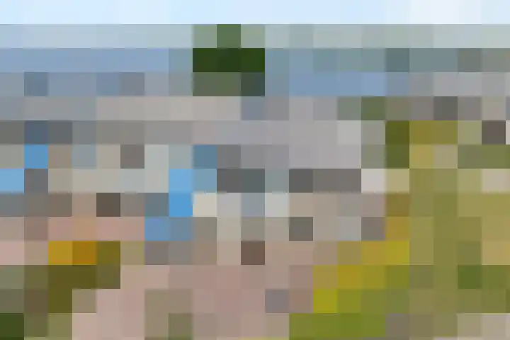 Veneweg 292 060 Wanneperveen thumbnail 6