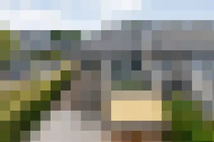 Veneweg 292 060 Wanneperveen thumbnail 7