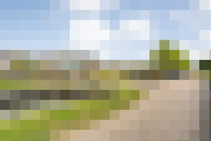Veneweg 292 060 Wanneperveen thumbnail 8