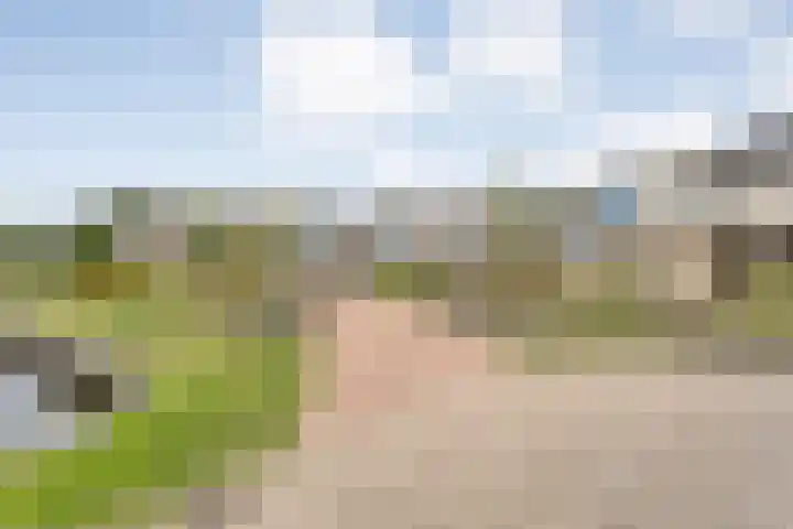 Veneweg 292 060 Wanneperveen thumbnail 9