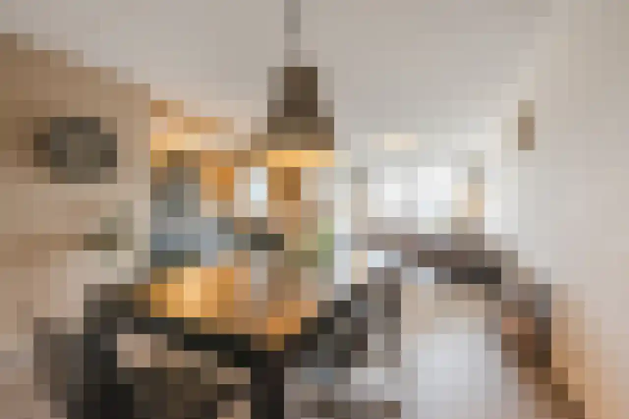 Veneweg 292 079 Wanneperveen thumbnail 15