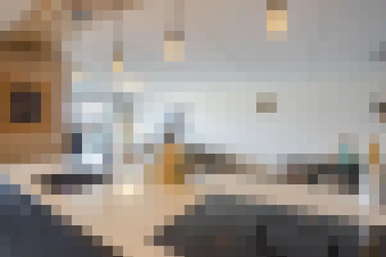 Veneweg 292 079 Wanneperveen thumbnail 21