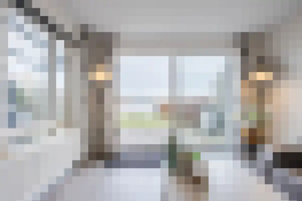 Veneweg 292 079 Wanneperveen thumbnail 23