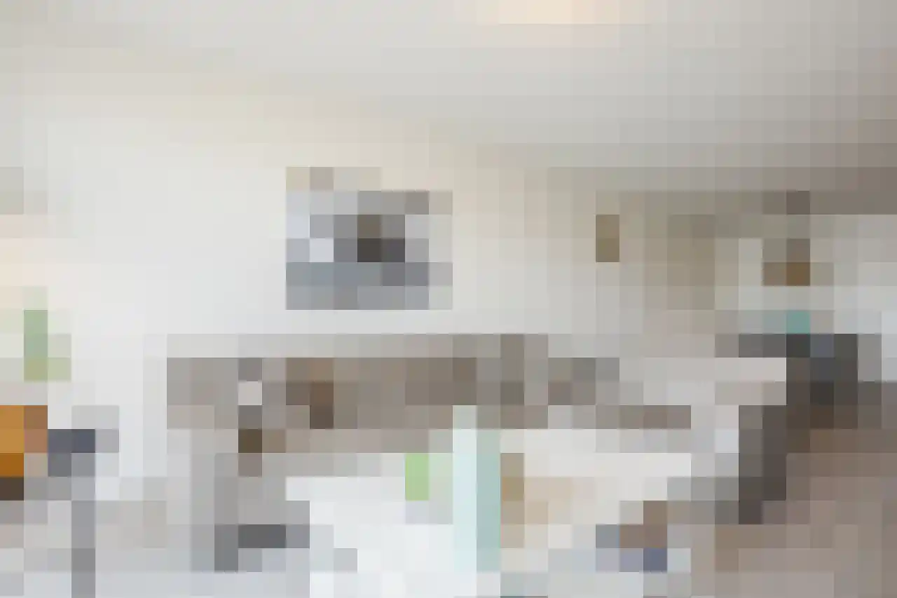 Veneweg 292 079 Wanneperveen thumbnail 26