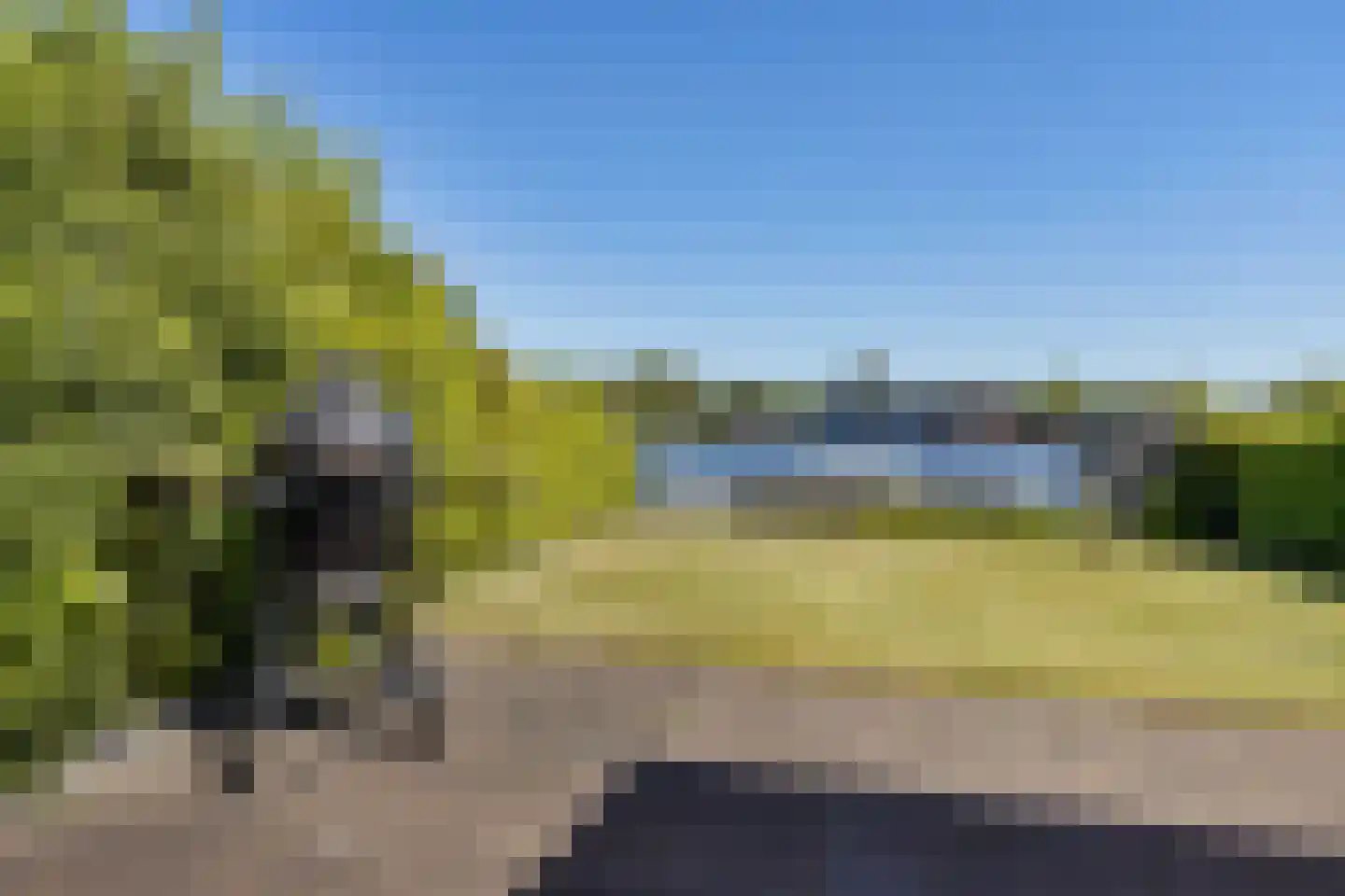 Veneweg 292 079 Wanneperveen thumbnail 34