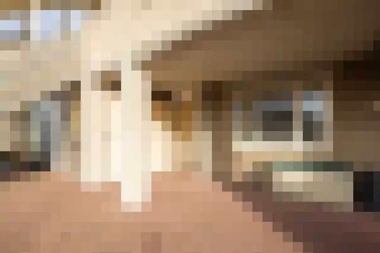 Veneweg 292 079 Wanneperveen thumbnail 4