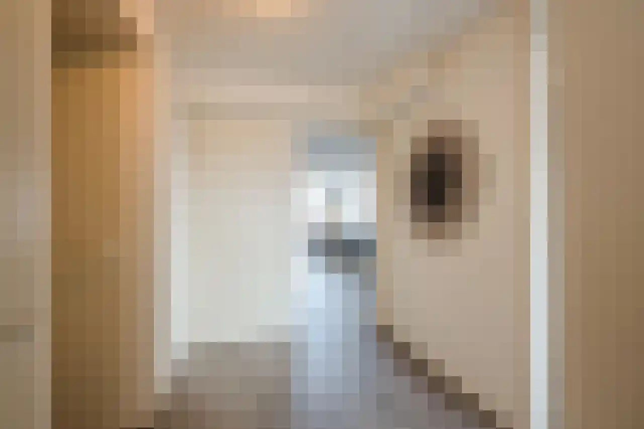 Veneweg 292 079 Wanneperveen thumbnail 5