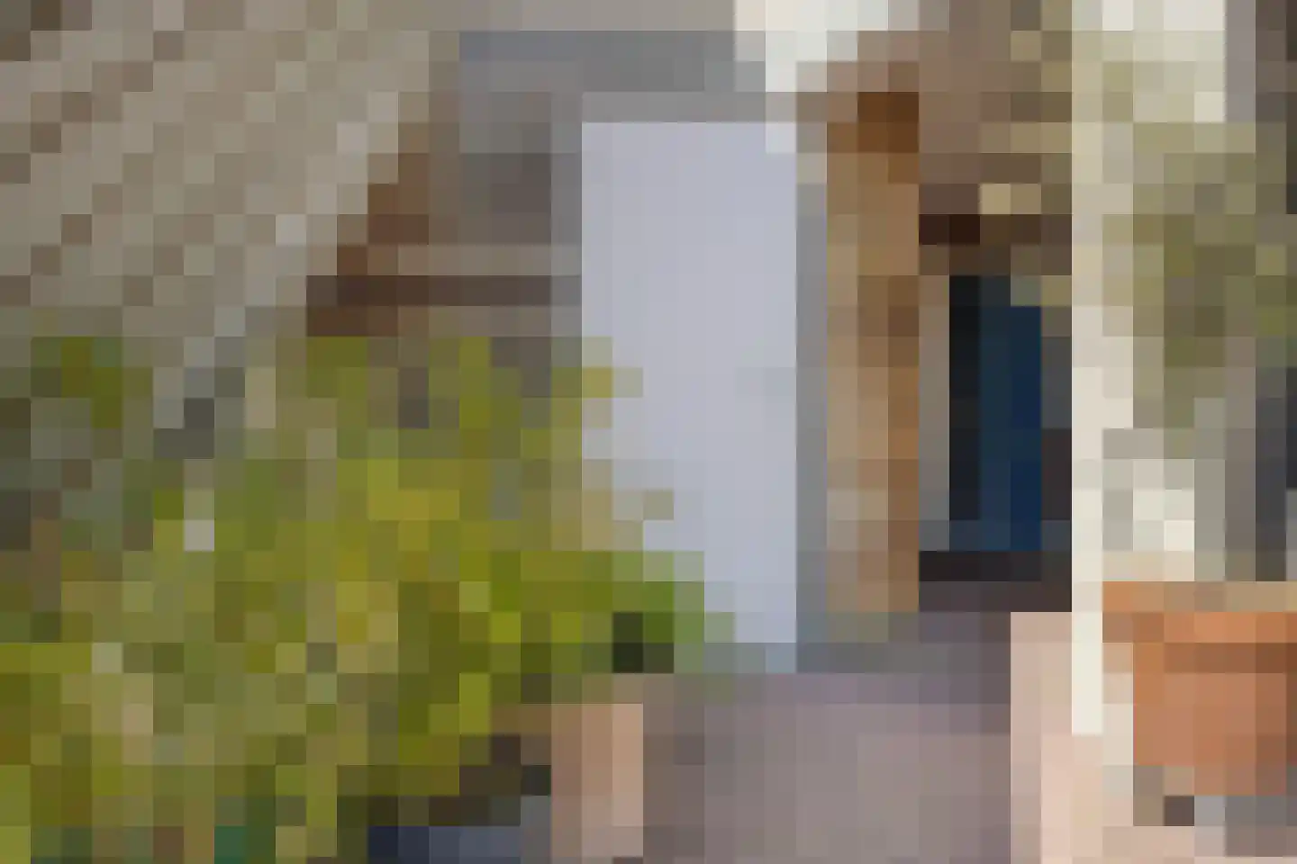 Veneweg 292 44 Wanneperveen thumbnail 9