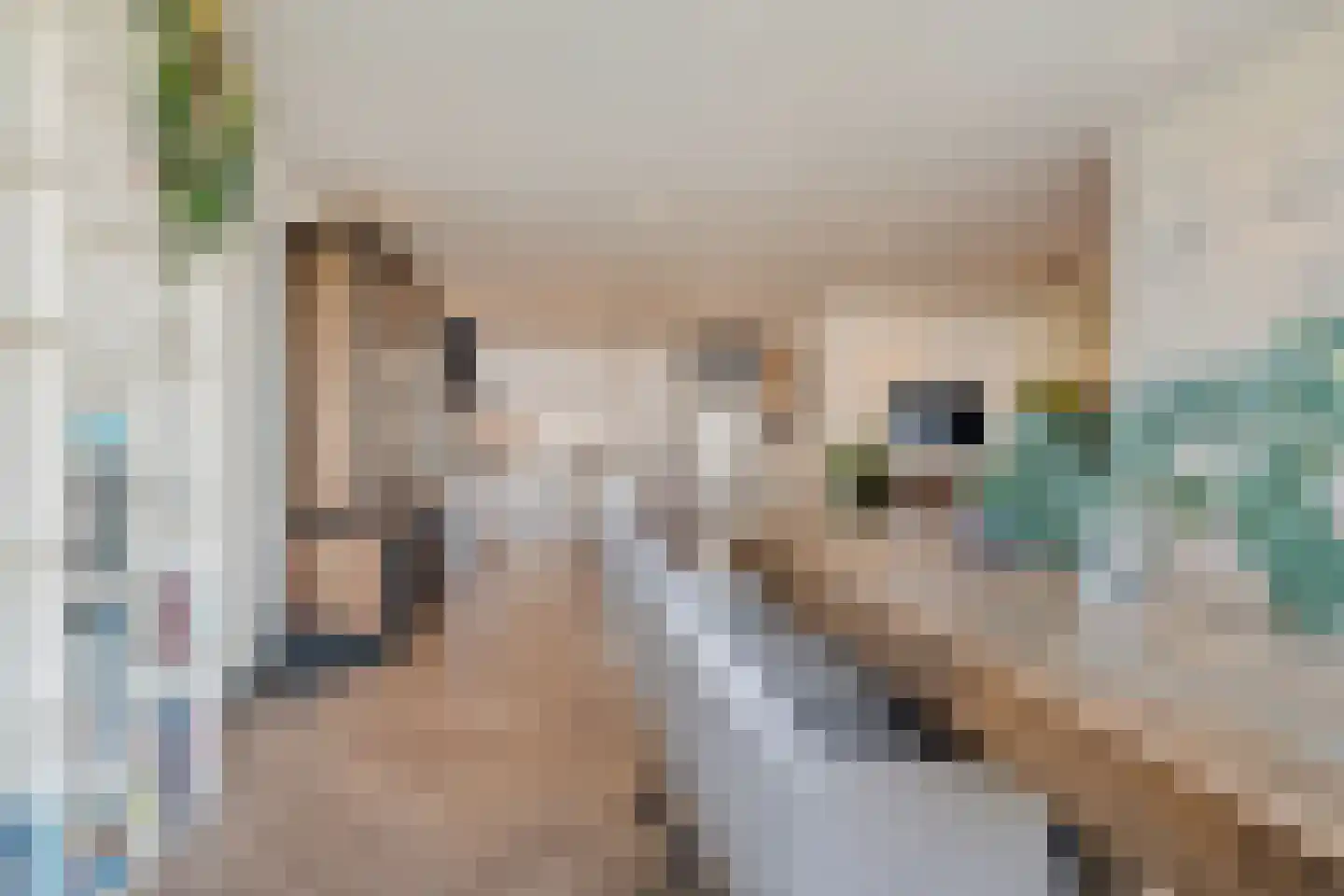 Veneweg 292 46 Wanneperveen thumbnail 32