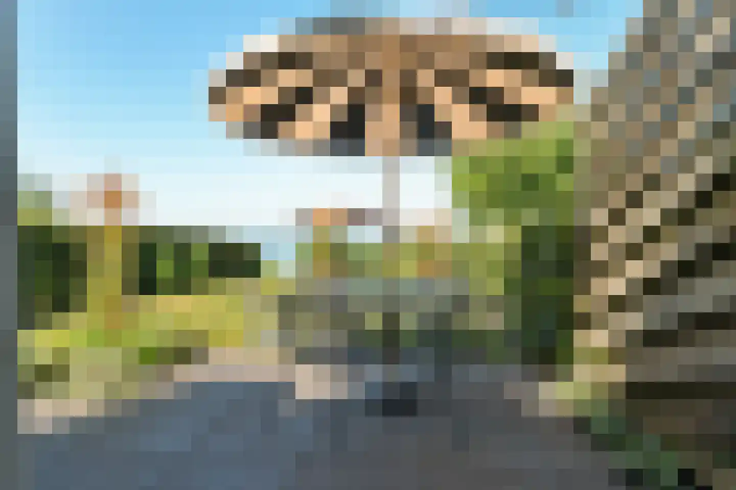 Veneweg 292 46 Wanneperveen thumbnail 43