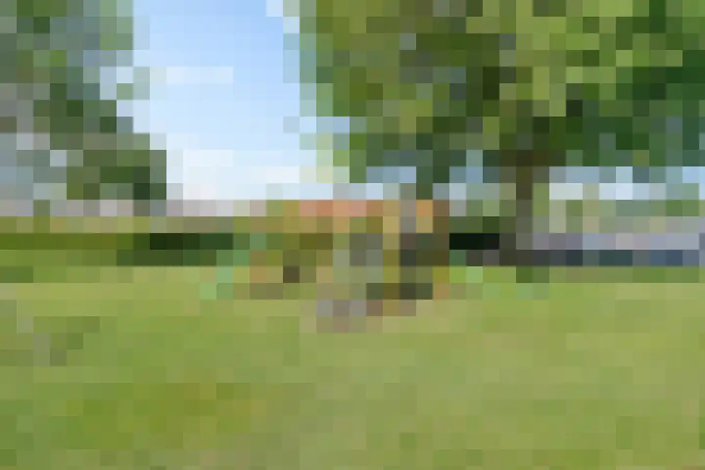 Veneweg 292 54 Wanneperveen thumbnail 53