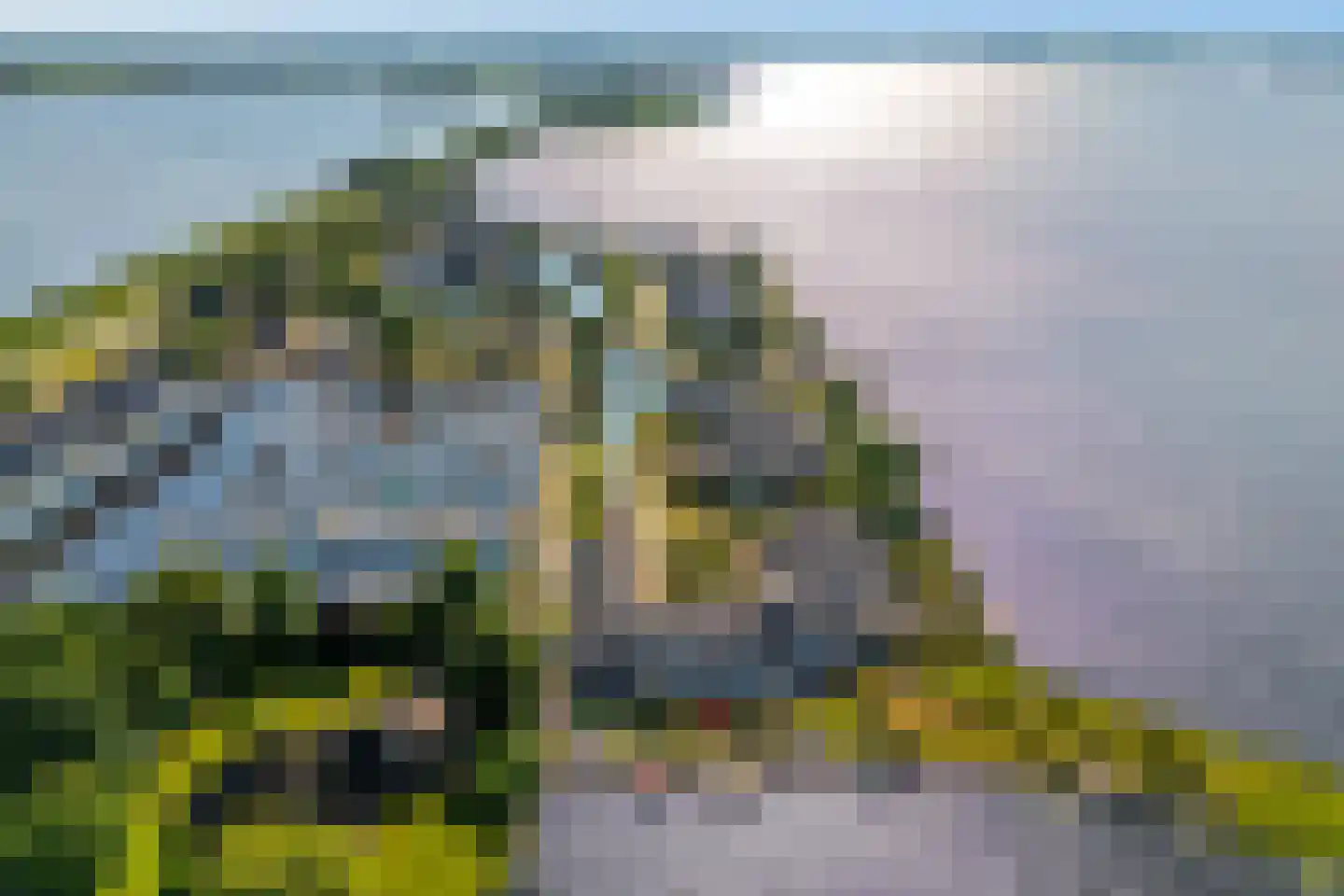 Veneweg 292 68 Wanneperveen thumbnail 44